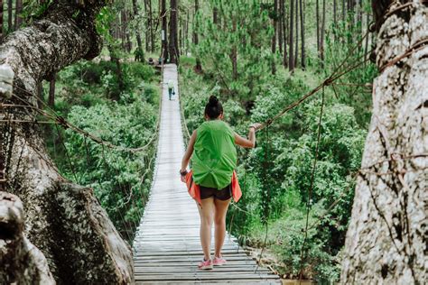 Ecoturismo: Vacaciones responsables