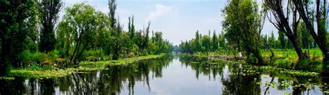 Axolotls and Chinampas in Xochimilco: Nature & Conservation Experience ...