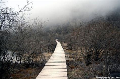 Scary Path | Paths, Eerie, Boardwalk