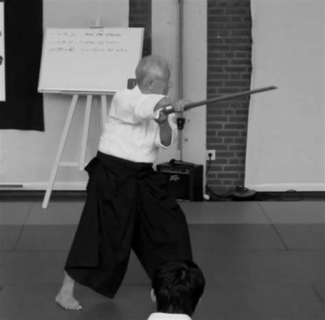 “Four Gods” Bokken Kata – Aikido Yuishinkai | Aikido Warrior Dojo