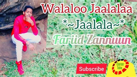 Walaloo jaalalaa **Jaalala** | Fariid Zannuun | - YouTube