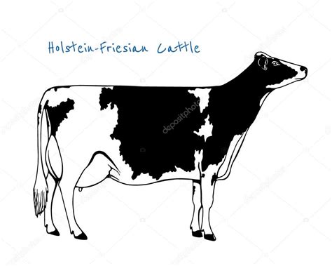 Dairy Cow Silhouette Clip Art