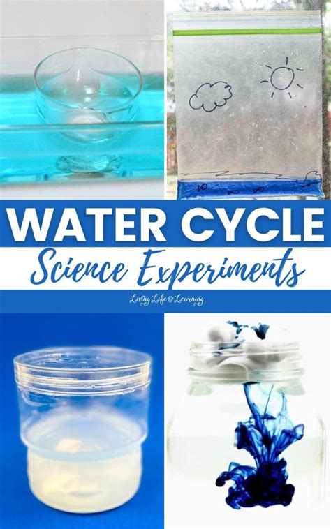 Water Cycle Science Experiments | Weather activities for kids, Weather ...