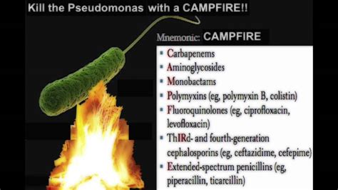 Treatment For Pseudomonas aeruginosa [Mnemonic] - YouTube