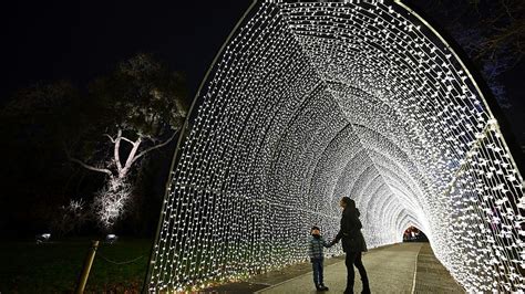 Kew Gardens Christmas Lights 2024 Tickets - Celka Carilyn