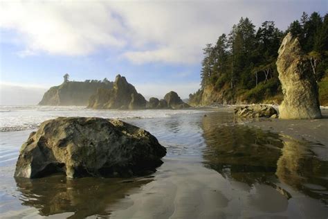 ruby beach - Google Search Patterson, Pacific Northwest, Foreign, Monument Valley, Beautiful ...