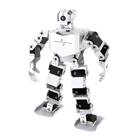 Buy Raspberry Pi AI Intelligent Visual Humanoid Robot for Raspberry Pi 4B 4GB, Supports Python ...