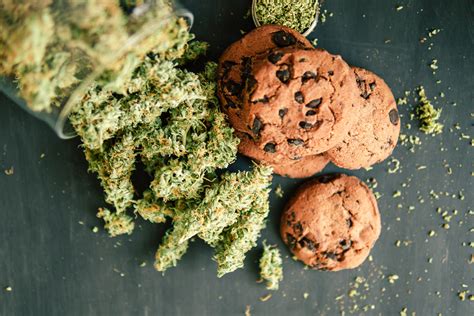 Easy Cannabis Edible Recipes for Beginners | Arkansas Marijuana Card