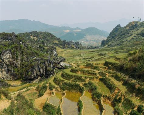 Rice Terraces and Hills in Sapa, Vietnam Stock Photo - Image of harvest ...