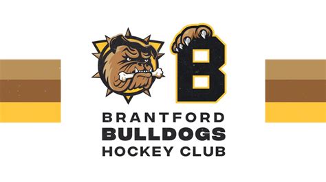 Bulldogs fall in overtime, down 3 games to 1 against 67’s | BrantBeacon