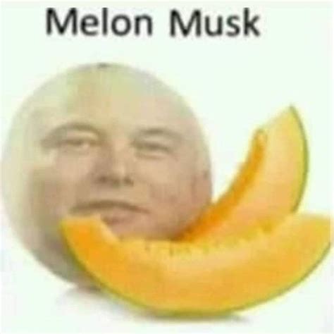 Elon musk in 2023 | Melon musk, Very funny pictures, Cute funny pics