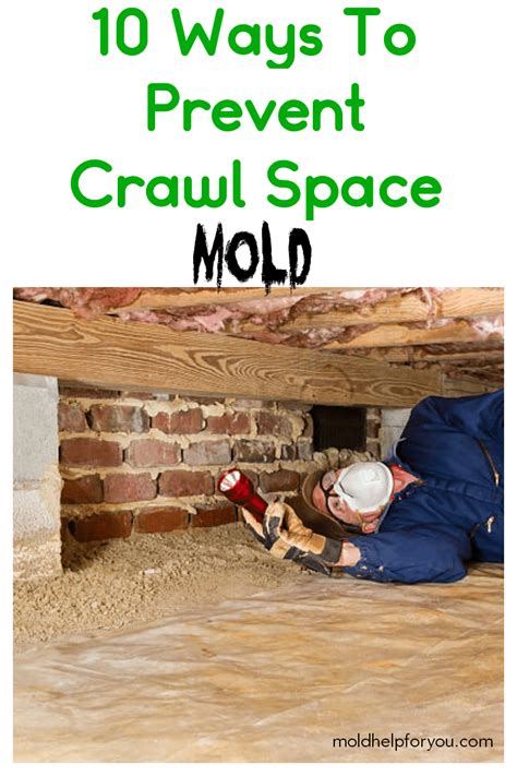 Crawl space mold – what you should know as well as tips and tricks to ...