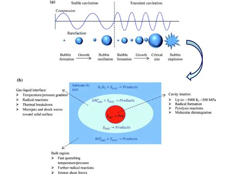 a Cavitation bubbles displaying stable and transient cavitation and b... | Download Scientific ...