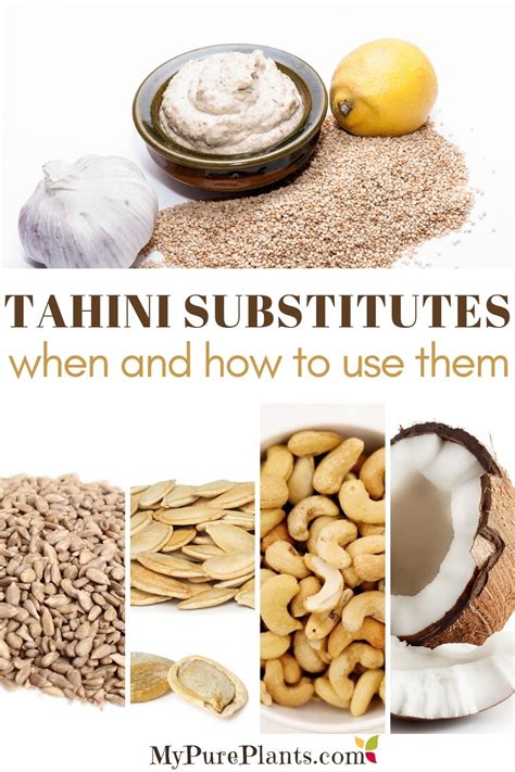 Complete List of Tahini Substitutes (When and How to Use Them) - My Pure Plants