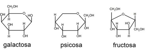 30 Examples of Monosaccharides, Disaccharides and Polysaccharides - Examples Lab