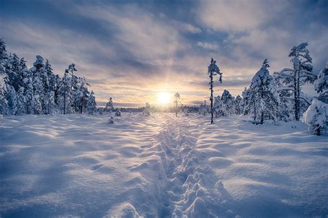 Trail on a snow leading towards sunset. #Finland #photography #photo #landscapephotography # ...