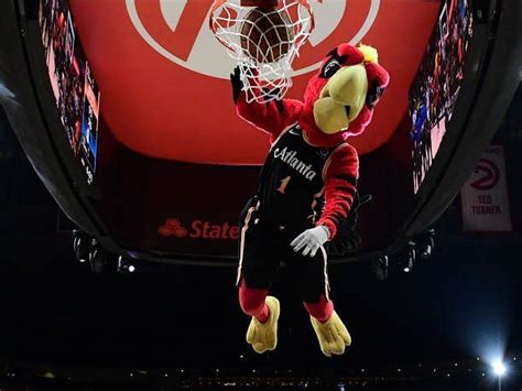 Who is the Atlanta Hawks' mascot, Harry the Hawk?