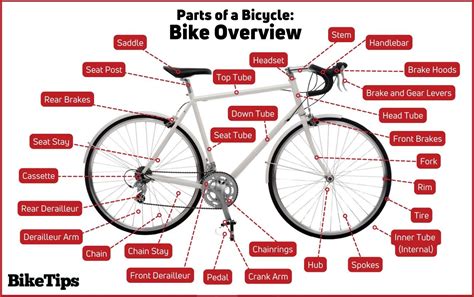 Diagram Of A Bicycle With Parts Explained Best Road B - vrogue.co