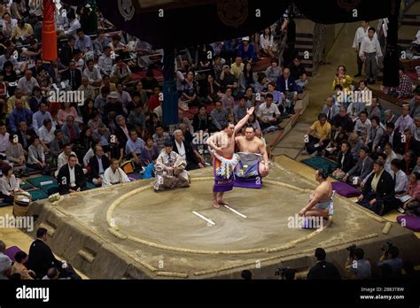 Sumo wrestlers in sumo wrestling ring for closing ceremony traditional ...