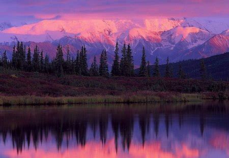 PURPLE MOUNTAINS - Mountains & Nature Background Wallpapers on Desktop Nexus (Image 1216156)