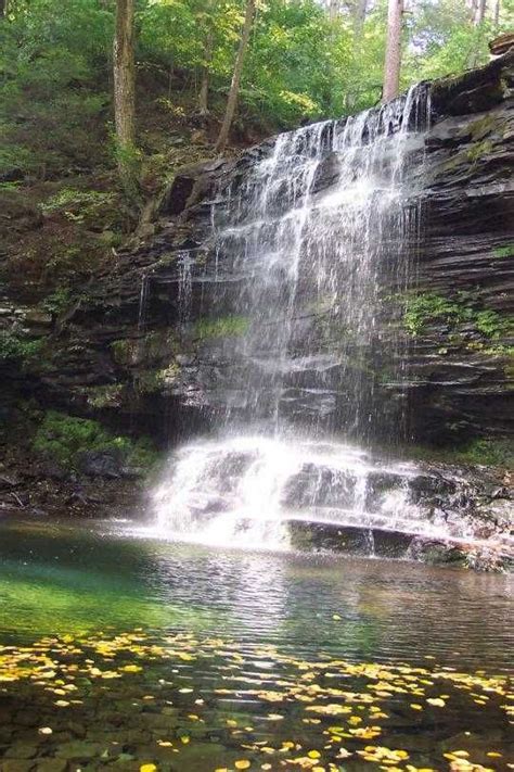 Ricketts Glen State Park | State parks, Beautiful waterfalls, Vacation spots
