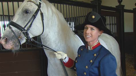 Lipizzan Horses Trained in Dressage a Noble Mix of Athlete, Artist ...