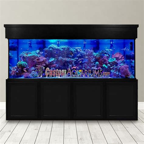 300 Gallon Saltwater Aquarium - Custom Glass Fish Tank - Custom Aquariums