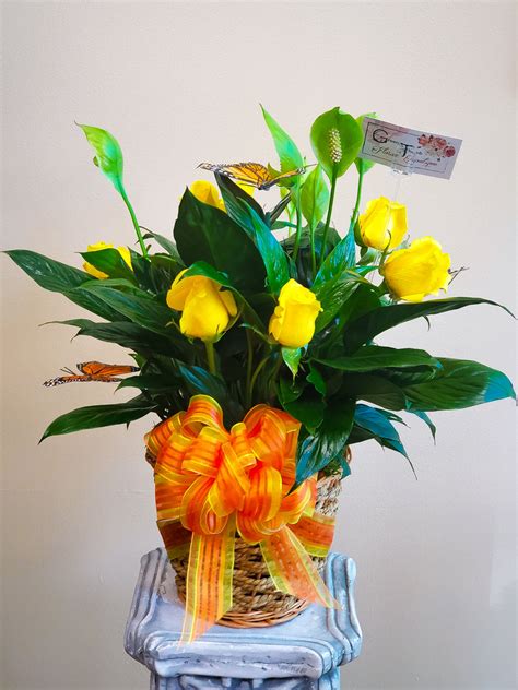 Peace Lily Basket – Green Thumb Floral Boutique