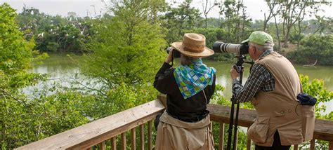 Great Texas Wildlife Trails - Wildlife - TPWD