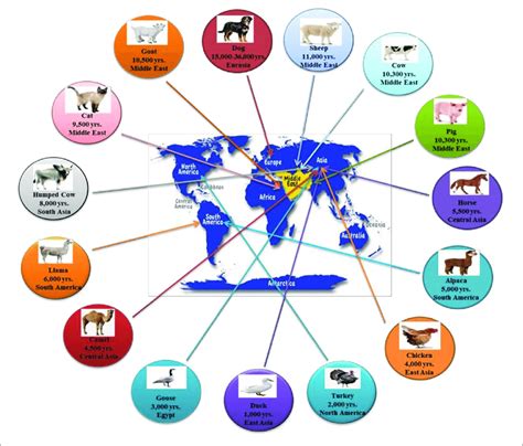 | The timeline of animal domestication (adapted from Zeder, 2008). | Download Scientific Diagram