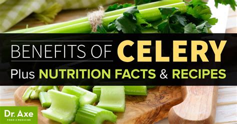 10 Benefits of Celery + Nutrition Facts and Recipes - Dr. Axe