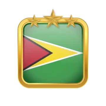 Guyana Flag Vector, Guyana, Flag, Guyana Flag PNG and Vector with Transparent Background for ...