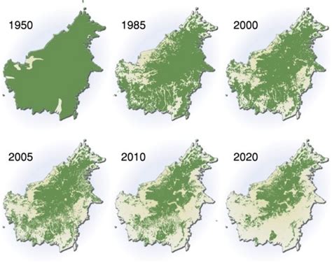 Borneo_deforestation – Dr. James Borrell