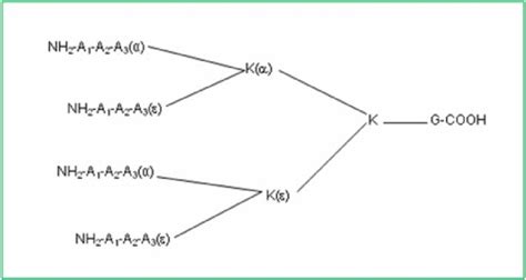 Schematic structure of tetrameric tripeptide library. A letter... | Download Scientific Diagram