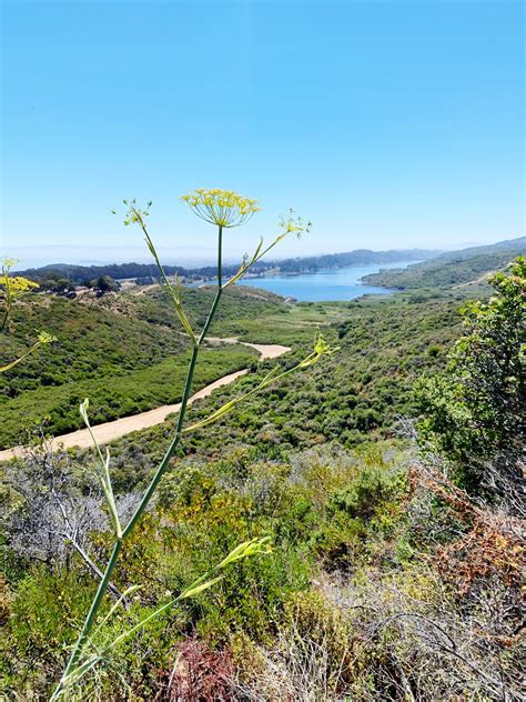 Hikes in Pacifica: Pacifica Hiking Trails With the Best Coastal Views