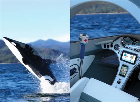 $90,000 Seabreacher Killer Whale Submarine Can Hit 25MPH Underwater and ...