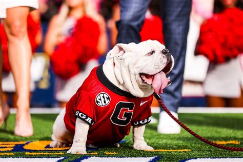 Urban Meyer: Georgia should be penalized for schedule; where Bulldogs’ slate ranks nationally ...