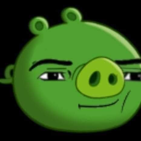 Man Face Piggy : r/angrybirds