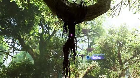 Where To Find Canopy Root in Avatar: Frontiers of Pandora | The Nerd Stash