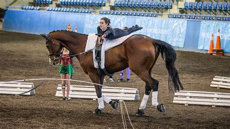 About Vaulting | Equestrian New South Wales