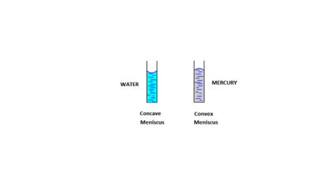 Why the meniscus of water is concave and the meniscus of mercury is ...