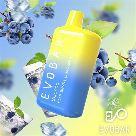 Blueberry Lemonade Evo Bar | EVO