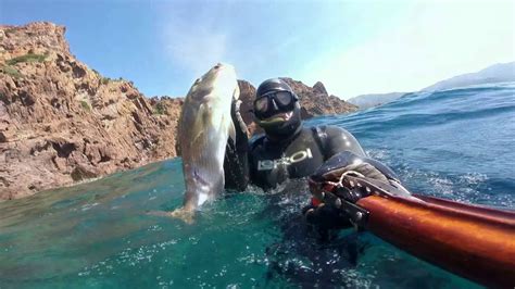 chasse sous marine en corse - YouTube