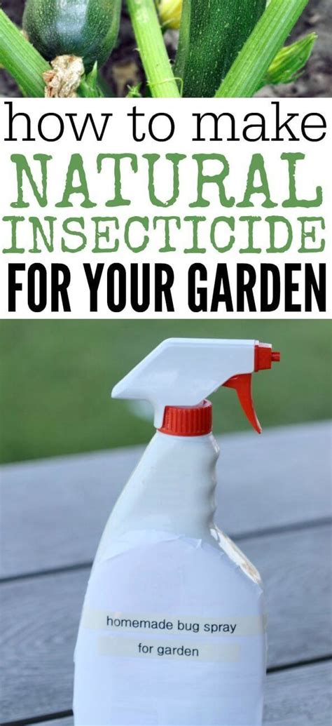 How to make Homemade Insecticide - all natural pesticide