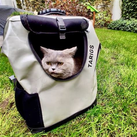 Hiking with cat | Your cat carrier backpack by TARIGS