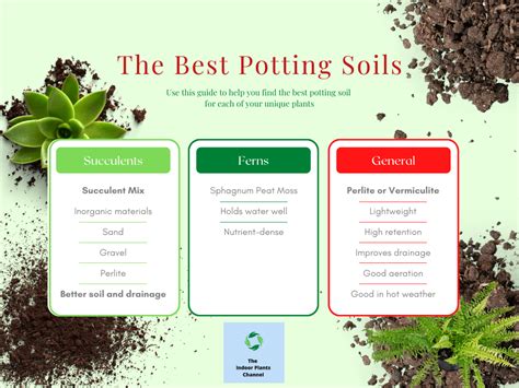 What Is The Best Potting Soil For Indoor Plants