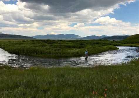 South Platte River Guided Fly Fishing with Master Guide Landon Mayer