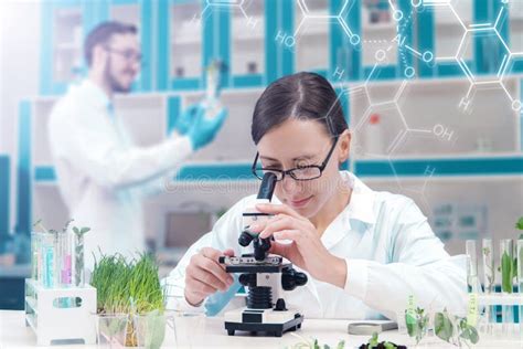 Scientists Working with Plants at Modern Laboratory Stock Photo - Image of education, learning ...