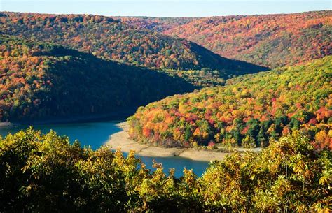 Allegheny National Forest - Zack Frank Photography | Allegheny national ...