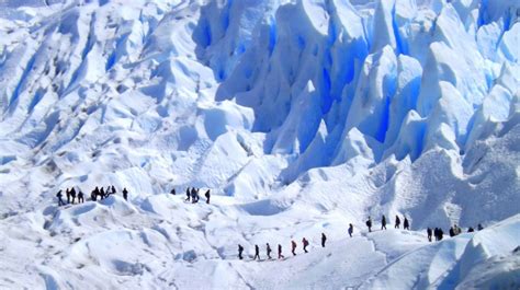 Best Tours and Trips in Los Glaciares National Park 2024/2025 – Compare Prices | Bookmundi